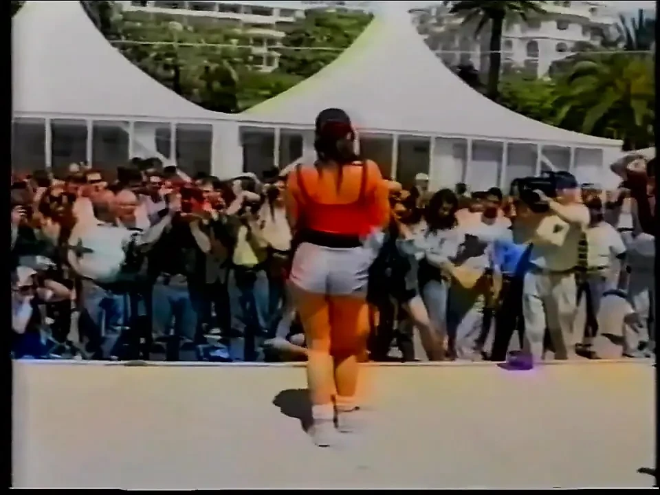 感受 （1995）