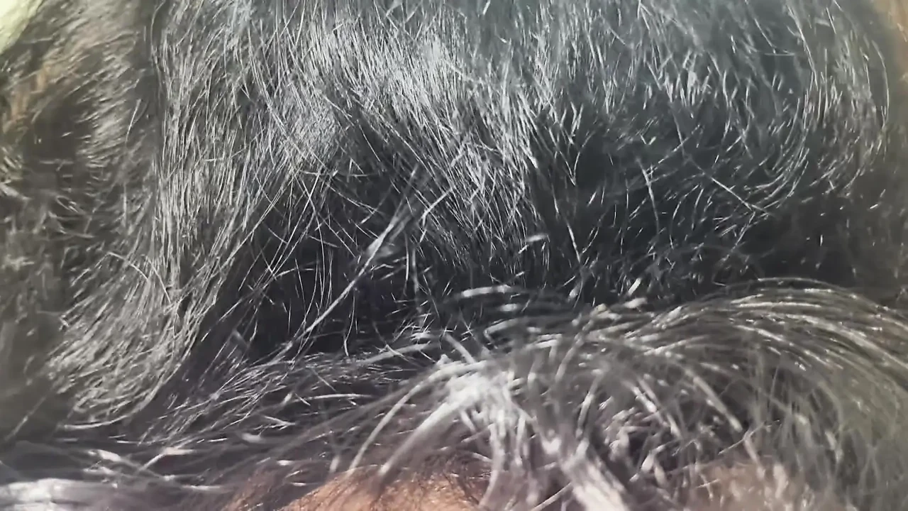 泰卢固阿姨和叔叔