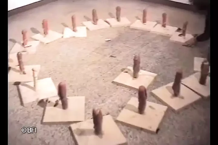 蛇操逼